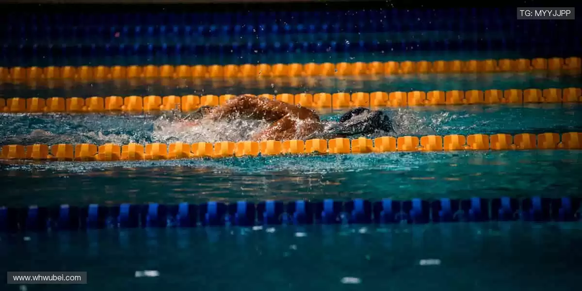 🌟 赛事策划，专业打造专属体育盛宴！